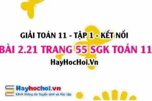 Giải bài 2.21 trang 55 Toán 11 tập 1 SGK Kết nối tri thức